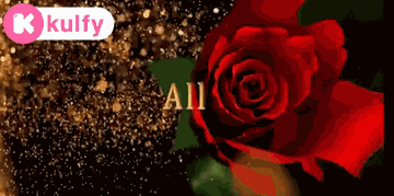 All The Best.Gif GIF