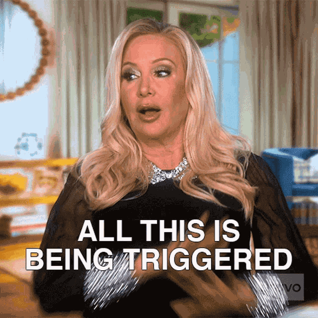 All This Is Being Triggered Shannon Beador GIF