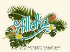 Aloha Hawaii GIF
