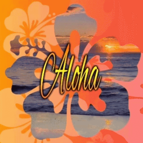Aloha Hawaiian Sunset Waves GIF