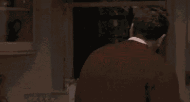 Alpacino Godfather GIF