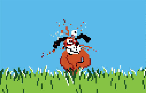 Alpakita Video Game GIF
