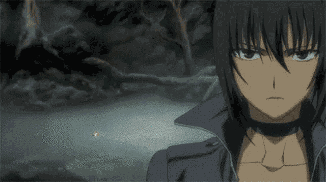 Alphard Al Sheya Canaan GIF