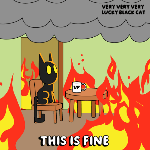 Alright Black Cat GIF