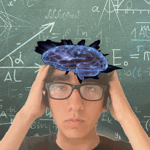Amazed Astonished GIF