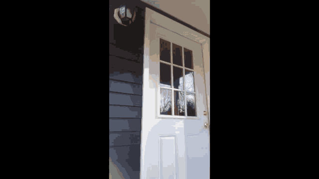 Amazon Delivery GIF