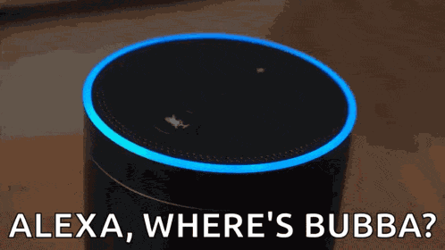 Amazon Echo GIF
