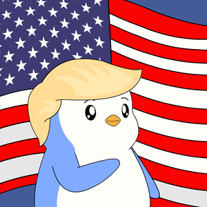 America American GIF