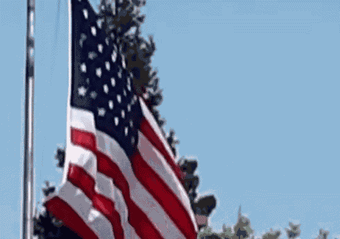 America American GIF
