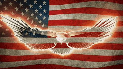 America GIF