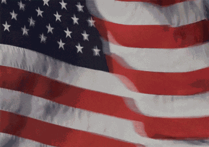 America Flag America GIF