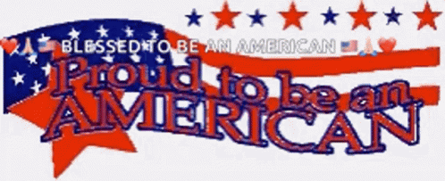 America Happy4th Of July GIF