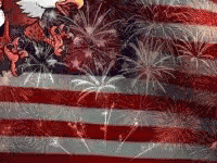America GIF