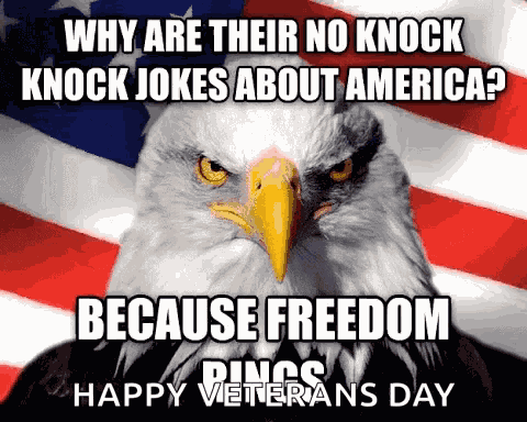 America Muricah GIF