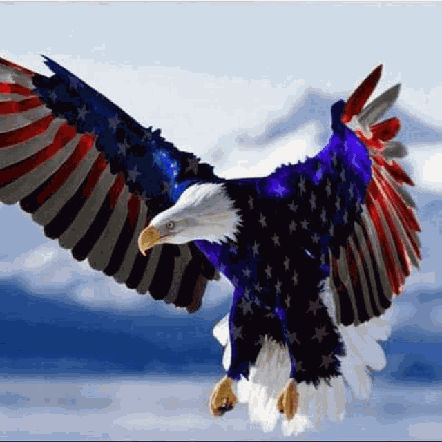 American Flag American Eagle Meme