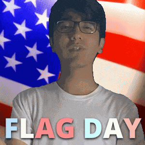 American Flag Day Flag Day Holiday GIF