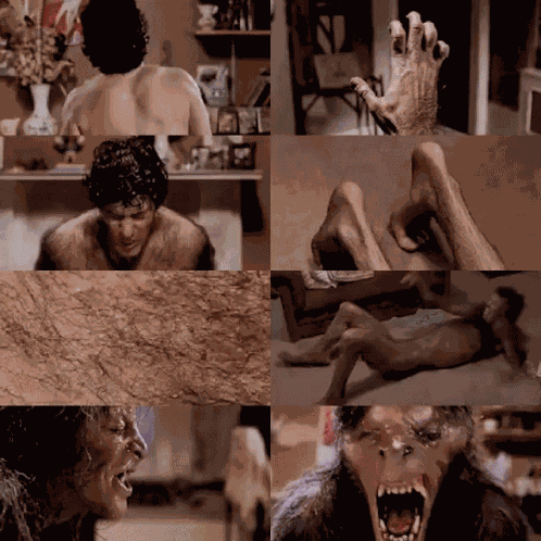 American Werewolf In London Werewolf GIF