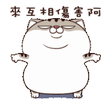 Ami Fat Cat Lets Do This Sticker