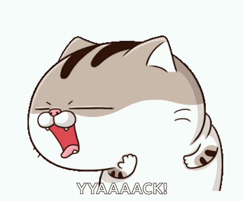 Amibb Cat GIF