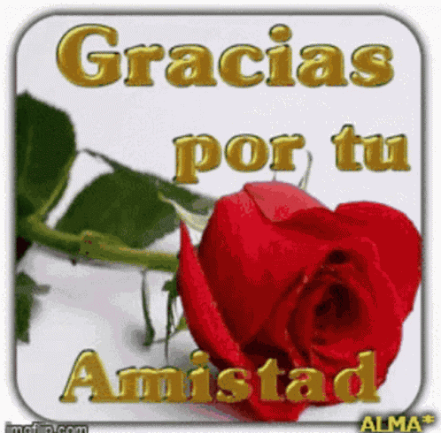 Amistad Gracias GIF