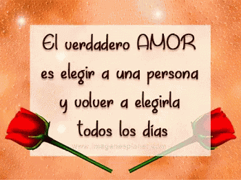 Amor Rose GIF