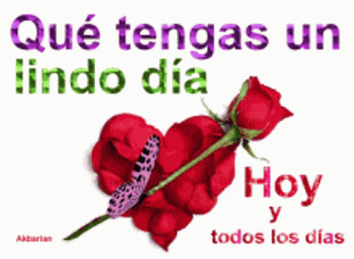 Amor Te GIF
