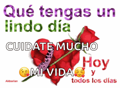 Amor Te GIF