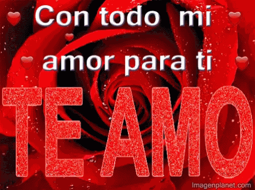 Amor GIF