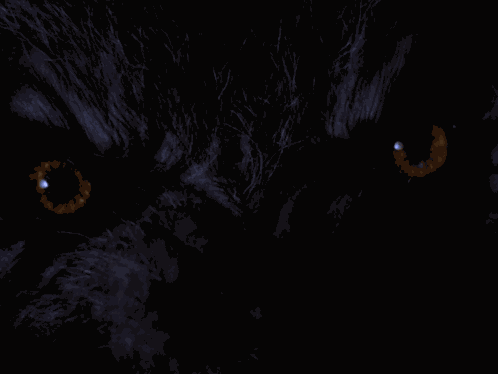 An American Werewolf In London Eyes GIF