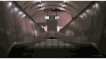 An American Werewolf In London John Landis GIF