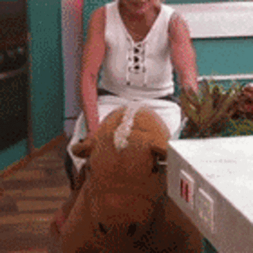 Ana Maria Braga Ridding GIF
