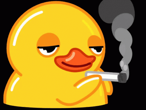 Analet Duck Smoking GIF