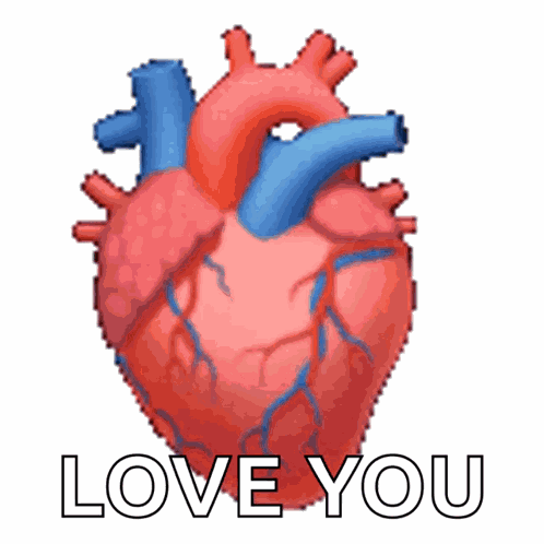 Anatomical Heart Beating Heart GIF
