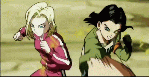 Android17 Android18 GIF