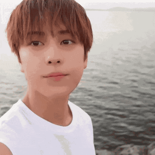 Andteam Andteam Taki GIF