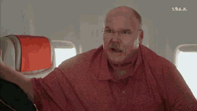 Andy Reid GIF
