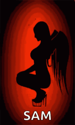 Angel Wings GIF