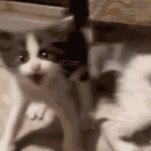 Anger Rage GIF