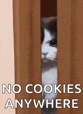 Angry Angry Cat GIF