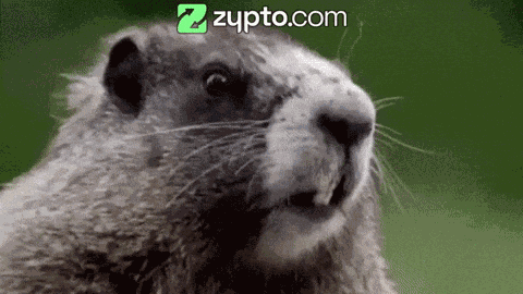 Angry Animal Screams GIF