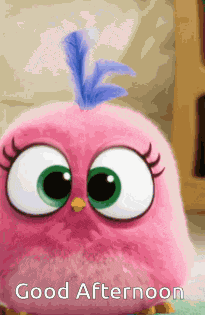 Angry Birds Good Afternoon GIF