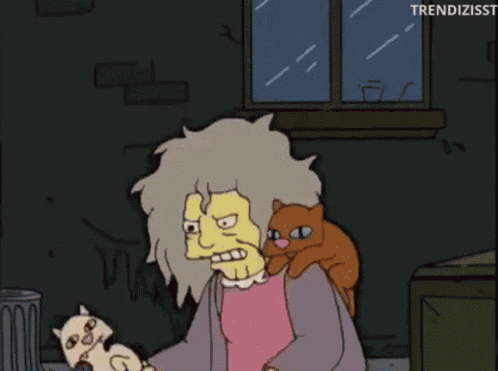 Angry Cat Lady GIF