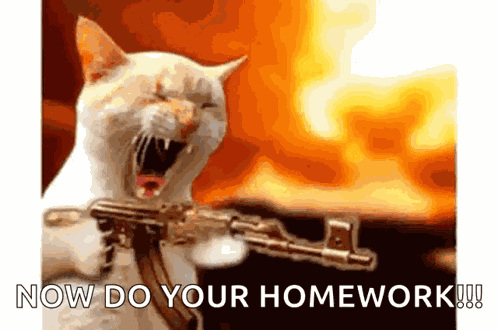 Angry Cat GIF