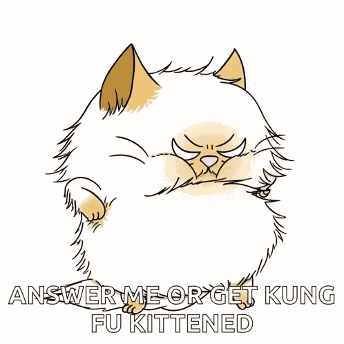 Angry Cat Persian Cat GIF