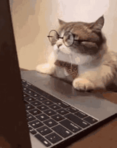 Angry Hiss GIF