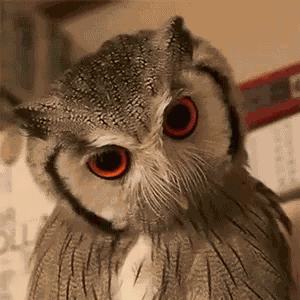 Angry GIF