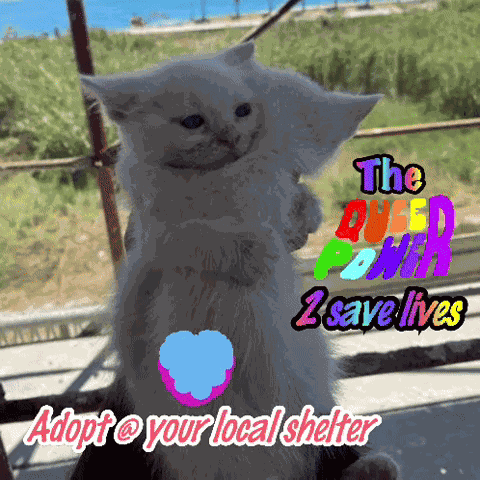 Animal Animal Hugs GIF