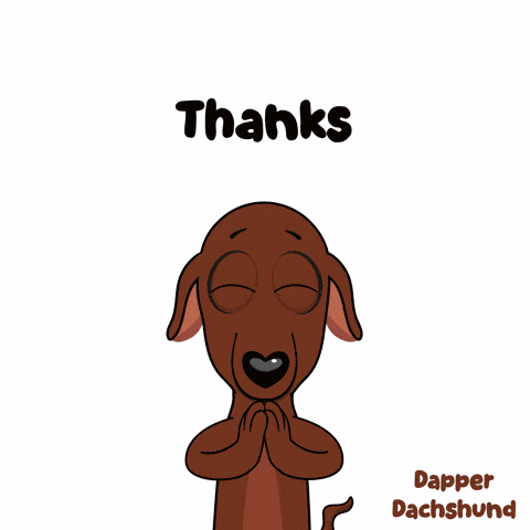 Animal Bless You GIF