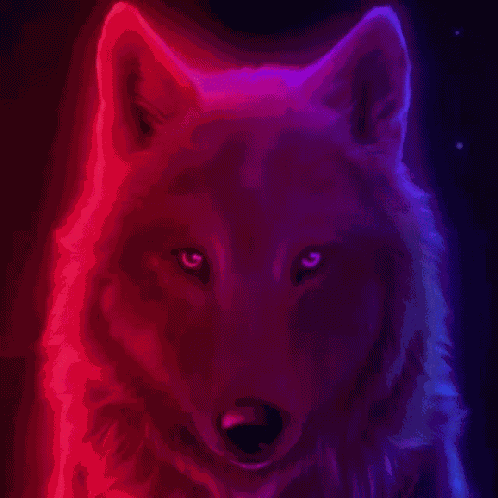 Animal GIF