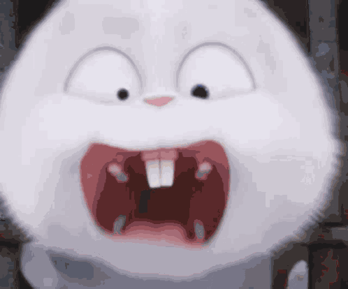 Animals GIF